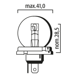 Bulb P45t 24V 55/50W 3770
