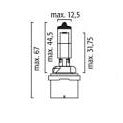Bulb 893 Halogen PG13 12V 37.5W - CF1237-893/8GH 008.991-141