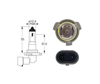 Bulb H10 Halogen PY20d 12V 42W - CH1242/8GH 980.326-001