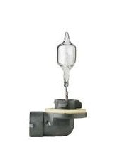 Bulb PGJ13 Halogen 12V 37.5W 896