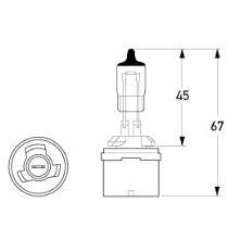 Bulb Halogen PG13 12V 50W 885