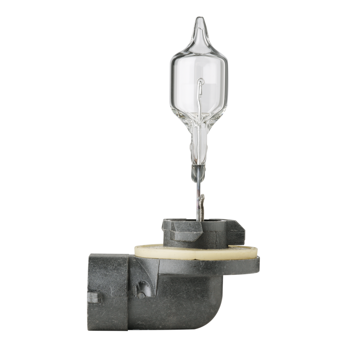 Bulb 886 Halogen PGJ13 12V 50W - CF1250-886/8GH 007.008-122