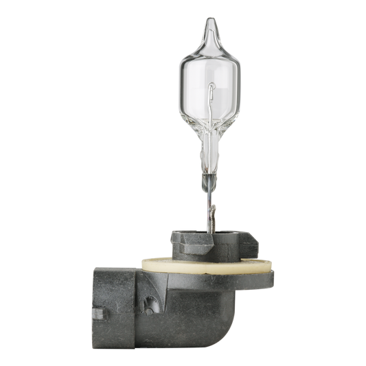 Bulb 886 Halogen PGJ13 12V 50W - CF1250-886/8GH 007.008-122