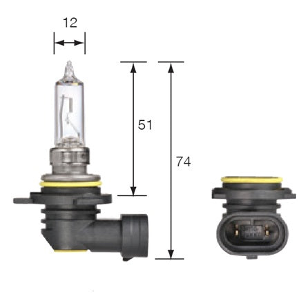 Bulb HIR2 PX22d Halogen 12V 55W 9012