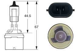 Bulb 893 Halogen PG13 12V 37.5W - CF1237-893/8GH 008.991-141